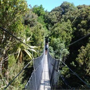 Waingongoro Track (New Zealand)