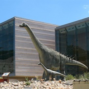 Museo Paleontológico De Castilla-La Mancha, Cuenca