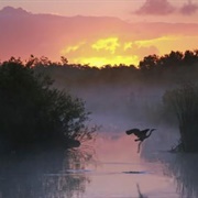 Everglades National Park, USA