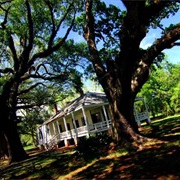 Magnolia Plantation