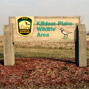 Killdeer Plains Wildlife Area, Ohio