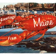 Maine Lobster in Maine