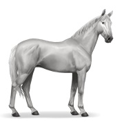 Selle Français - Light Gray