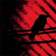 A Silver Mt. Zion - Born Into Trouble as the Sparks Fly Upward