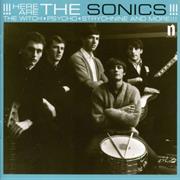 Here Are the Sonics- The Sonics