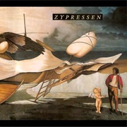 Zypressen - Zypressen