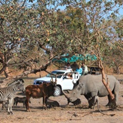 Fathala Wildlife Reserve & Lodge, Senegal