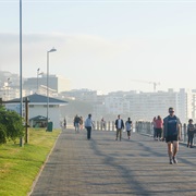 Run/Walk/Cycle/Skate Along the Sea Point Promenade