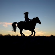 Ride a Horse