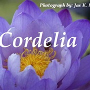 Cordelia