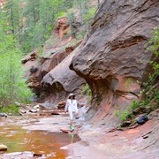 Challenge Yourself to the West Fork Trail