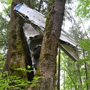 Plane Wreck of Heritage Park, Mission, British Columbia