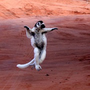 Tôlanaro, Madagascar