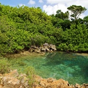 Walsingham Nature Reserve, Bermuda