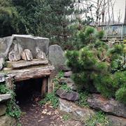 Discovery Creek Children's Museum