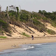 Higbee Beach Wildlife Management Area, New Jersey
