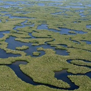 Explore the Everglades