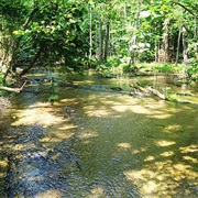 Drawa National Park, Poland