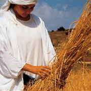 Neot Kedumim - Biblical Landscape Reserve