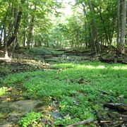 Silver Springs State Fish and Wildlife Area, Illinois