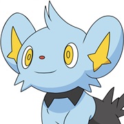 Shinx