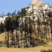 Gilbert Baker Wildlife Area, Nebraska