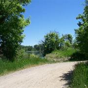 Fish at White Bear or the Dunes