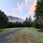 Hotoritori - Kauraenga Valley