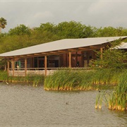 Estero Llano Grande State Park, Texas