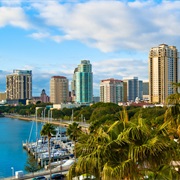 St. Petersburg (FL)