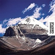 Throbbing Gristle - Part Two: The Endless Not