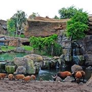 Bioparc Valencia