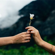 Volunteer in a New City or Country