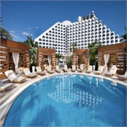 Stay in a 5 Star Hotel