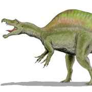 Spinosaurus