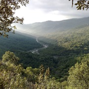 Los Alcornocales Natural Park, Spain