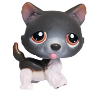Littlest Pet Shop #174