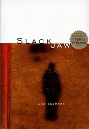 Slackjaw De Jim Knipfel