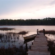 St. John's River (Florida)