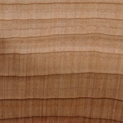 Cedar Wood