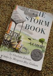 The Storm Book