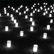 Dakota - The North Green Down