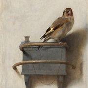 The Goldfinch