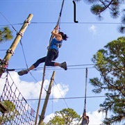 Tree Obstacle Course