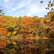 Staten Island Greenbelt