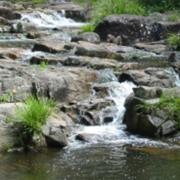 Woondum National Park (QLD)
