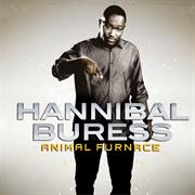 Animal Furnace - Hannibal Buress