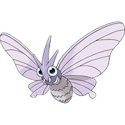 Venomoth