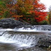 Autumn in Saskatchewan