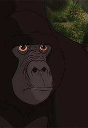 Kerchak